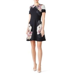 Black Halo Womens Black Floral Short Sleeve Fit and Flare Dress Size 16